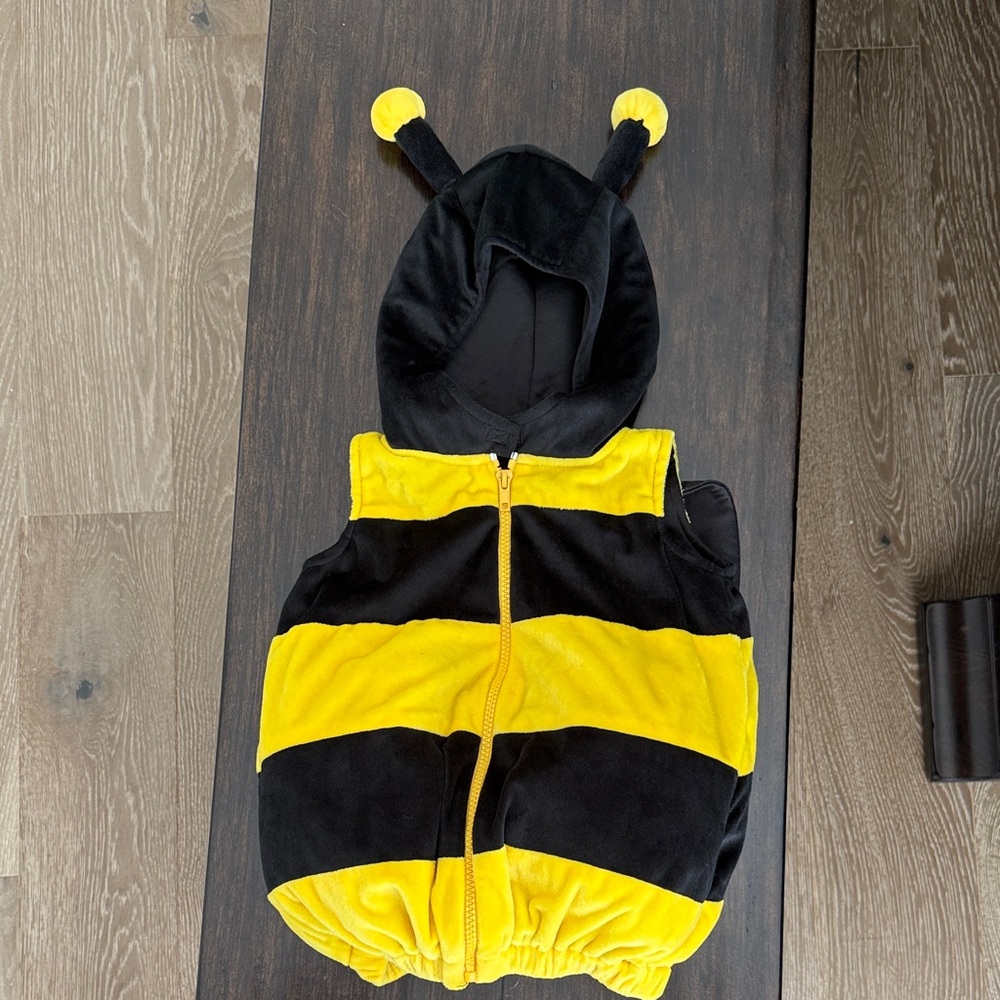 Black and Yellow Bee Costume